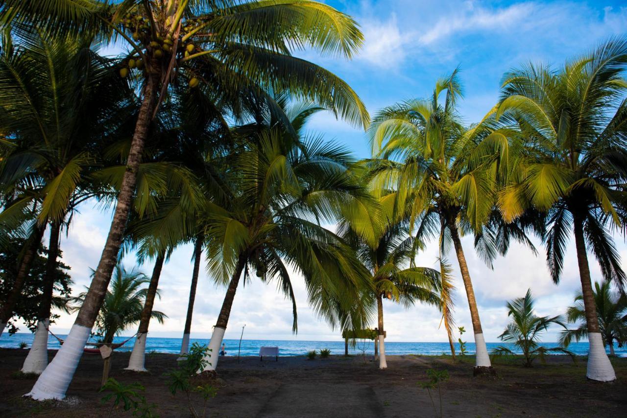 Hotel Tortuguero Beachfront Esterno foto