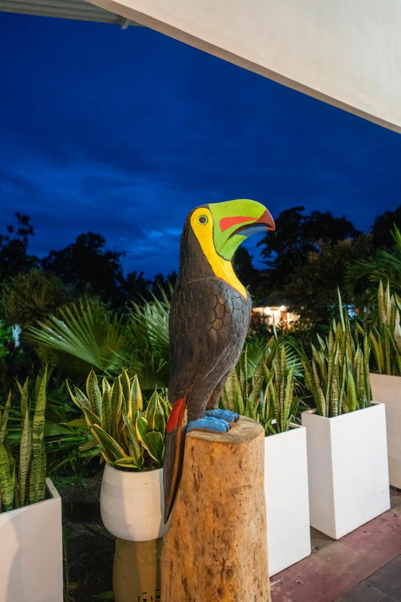 Hotel Tortuguero Beachfront Esterno foto