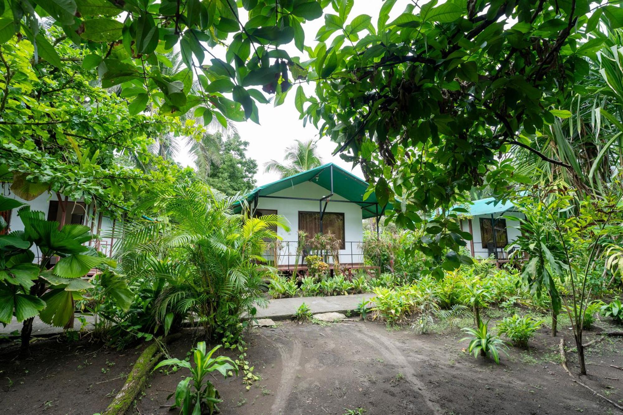 Hotel Tortuguero Beachfront Esterno foto