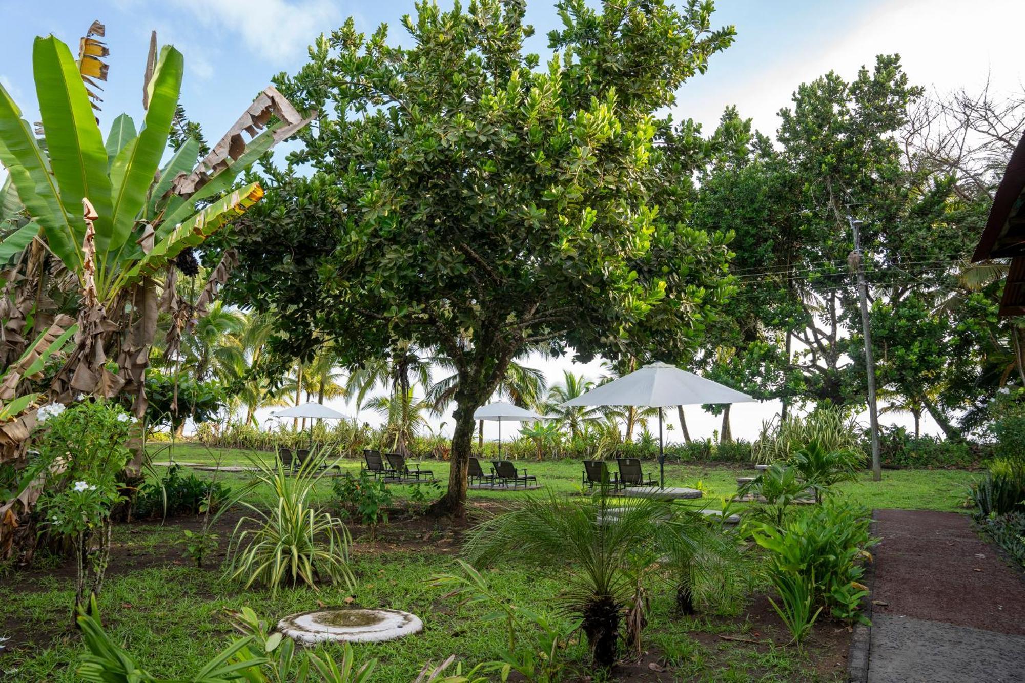 Hotel Tortuguero Beachfront Esterno foto