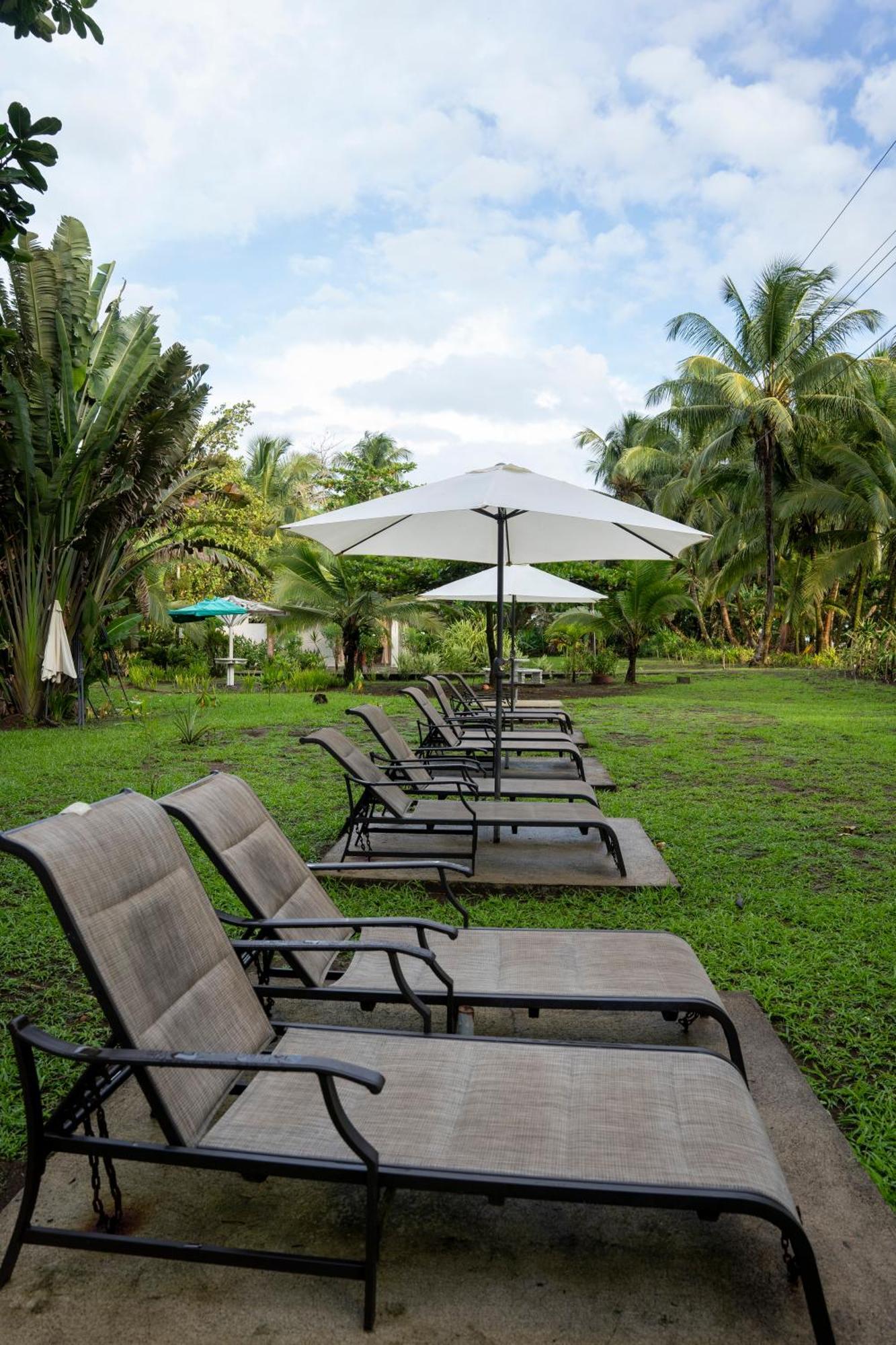 Hotel Tortuguero Beachfront Esterno foto