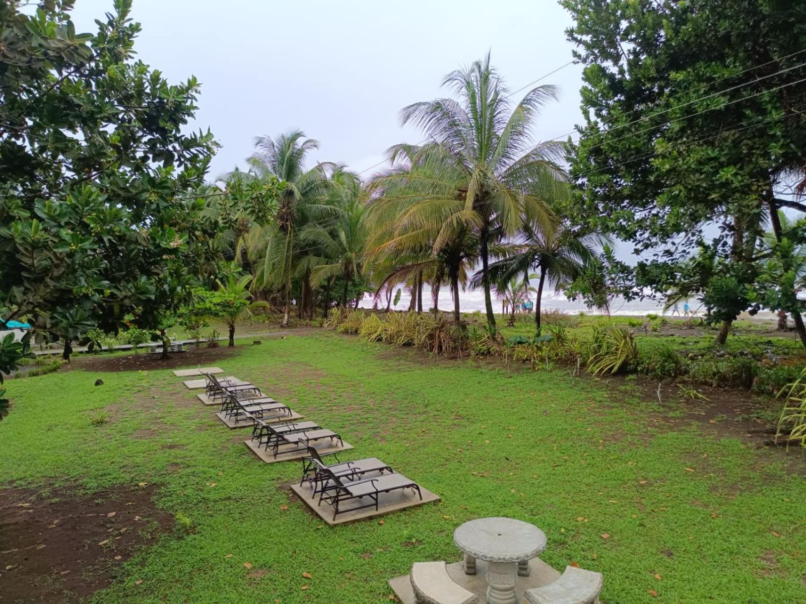 Hotel Tortuguero Beachfront Esterno foto