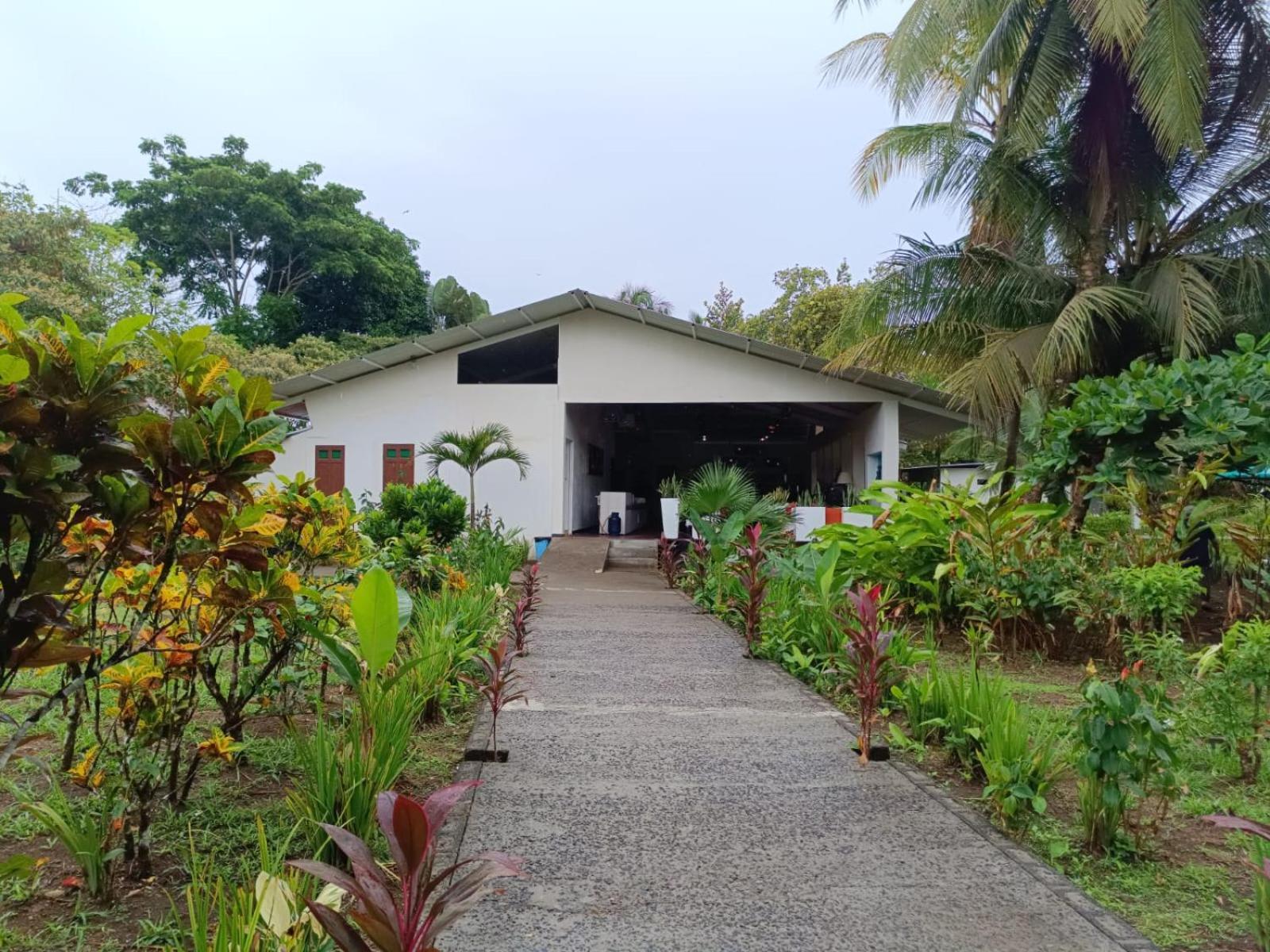 Hotel Tortuguero Beachfront Esterno foto