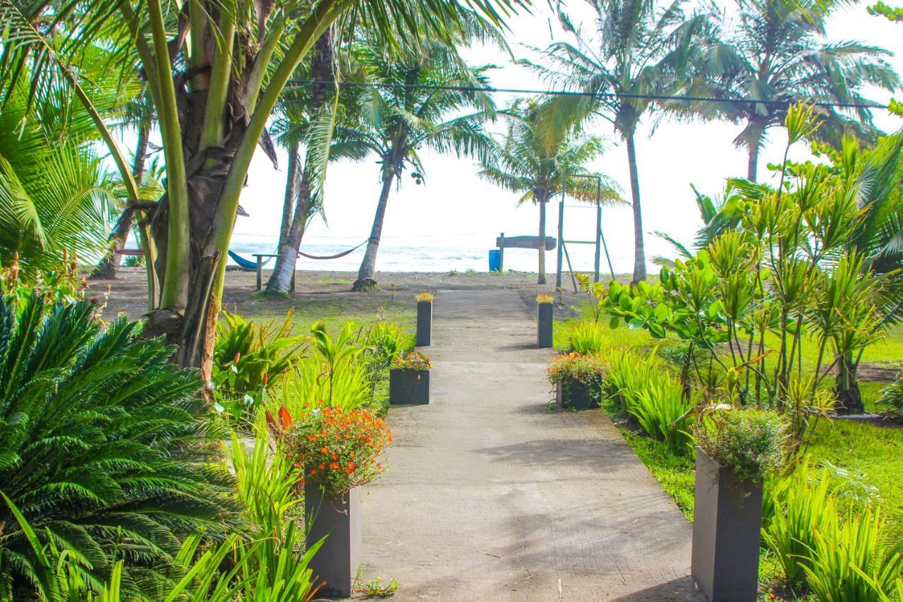 Hotel Tortuguero Beachfront Esterno foto
