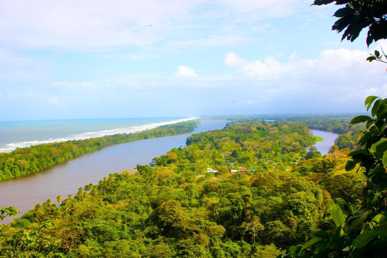 Hotel Tortuguero Beachfront Esterno foto